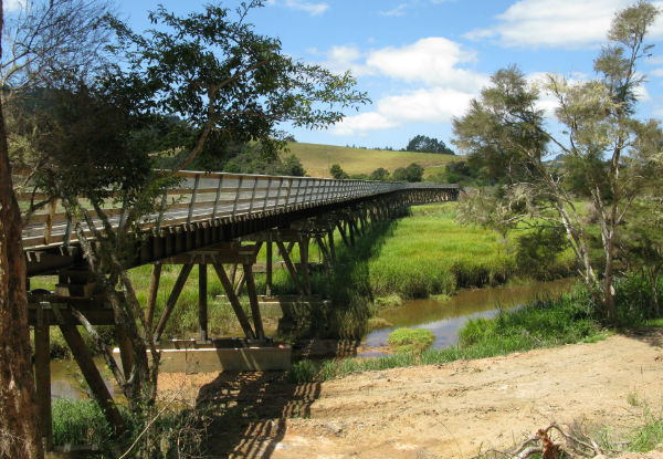 Two Adult Tickets for the World Famous Train Ride In Kawakawa - Option for a Family Pass