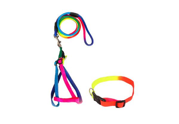 Two-Pack Pet Harness, Collar & Leash - Three Sizes Available