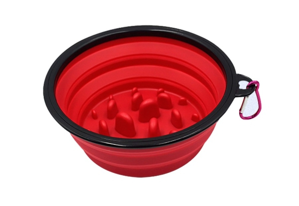 Collapsible Slow Feeding Pet Food Bowl