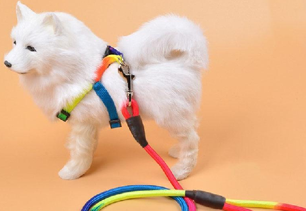 Durable Nylon Rainbow 1.2m Dog Leash - Available in Two Options