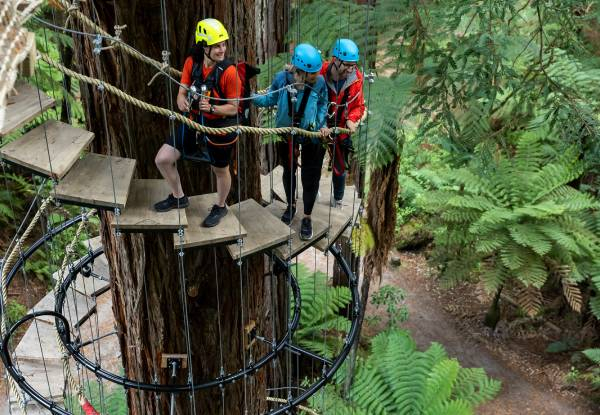 Guided Redwoods Altitude Experience for Adult or Child incl. Ziplining & 25-Metre High Guide