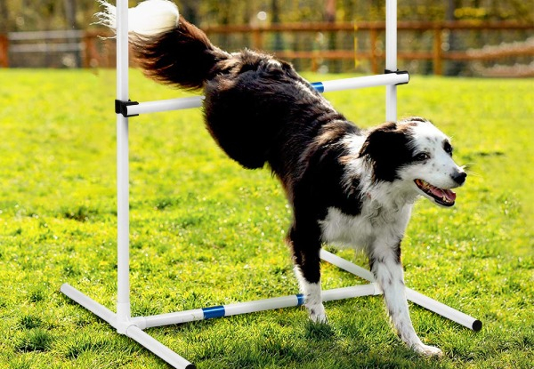 Petscene Seven-Piece Dog Obstacle Course Equipment Set incl. Carry Bag