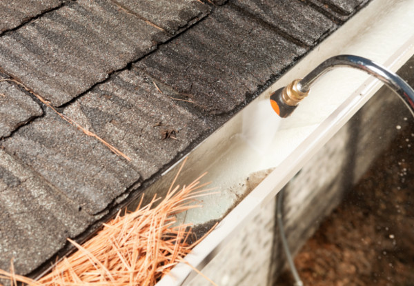 Roof & Gutter Inspection incl. Gutter Clean for a Three Bedroom House