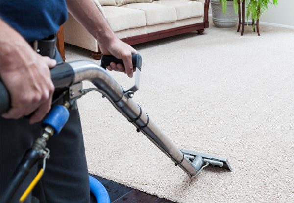 Professional Carpet Clean for Three Rooms - Options for up to Six Rooms