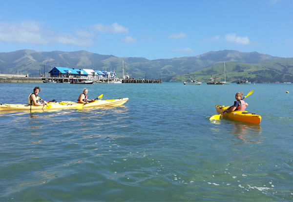 One Hour of  Wildlife Kayaking for Two People - Option for Two Hours