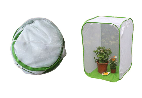 Folding Insect Cage - Three Sizes Available & Option for Two-Pack