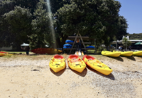 Single Kayak Hire for Two-Hours at Otehei Bay in the Bay of Islands - Options for Double Kayaks and SUPs Available