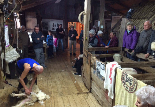 Family Pass to The Wool Shed - National Museum of Sheep & Shearing