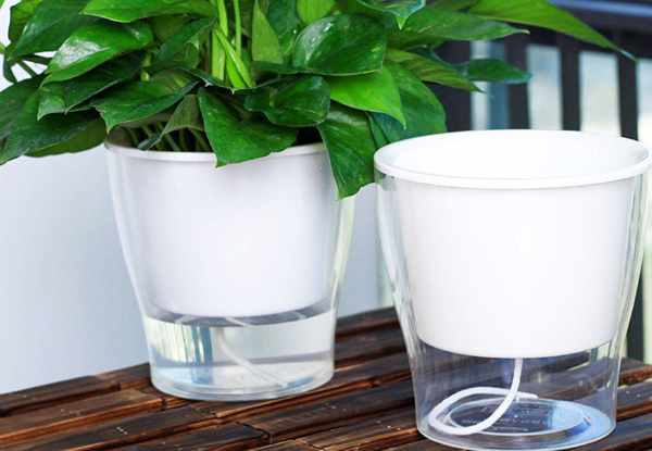 Auto Irrigation Plant Pot with Free Delivery