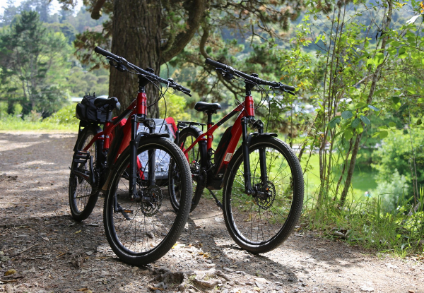 The Hauraki Rail Trail Bike Package incl. Full Day E-Bike Hire, Pannier, Helmet & Shuttle for  For Two People
