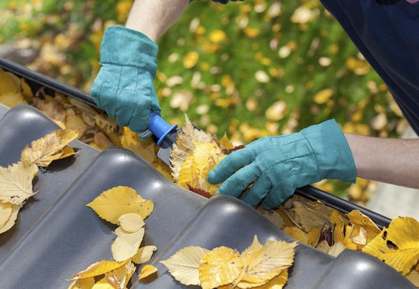 Gutter Cleaning & Full House Washing for a Two or Three-Bedroom House - Options for One & Two Storey Homes