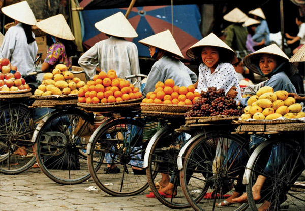 Per-Person, Twin-Share Seven-Day North Vietnam Tour incl. Guides, Meals as Indicated, Transfers & More
