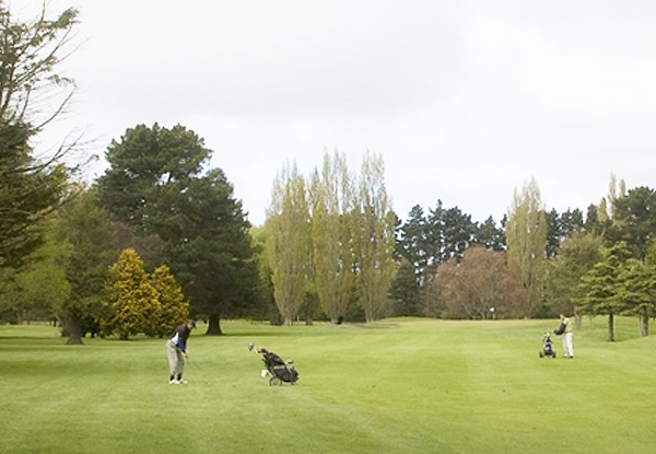One Round of Golf at Waitikiri for One Person - Options for up to Four Rounds