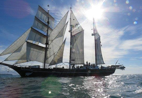 Sail The High-Seas with a Half-Day Sailing Experience Onboard Spirit of New Zealand