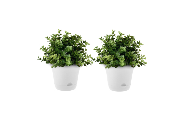 Two-Pack Self-Watering Planter - Two Colours Available & Option for Three-Pack