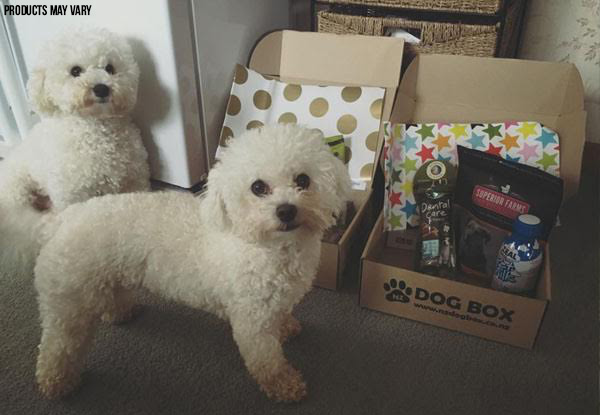 $24 for an NZ DOG BOX Surprise Box - Three Options