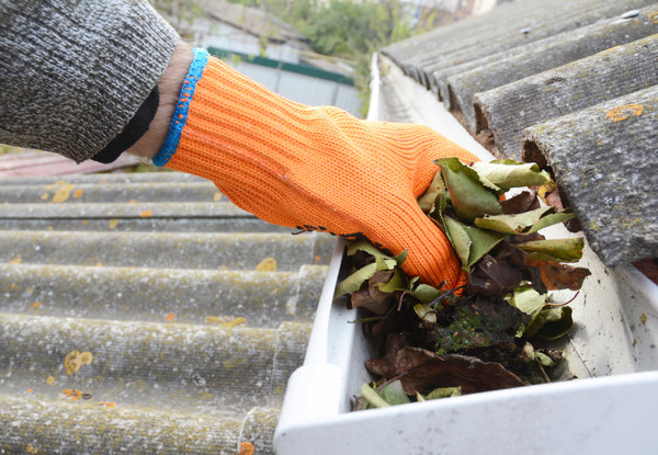Gutter Cleaning & Full House Washing - Option for a Single-Storey Two to Three Bedroom Home or Two-Storey Two to Three Bedroom Home