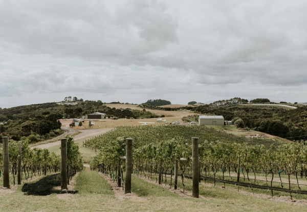 Waiheke Island Scenic Flight & Ferry Combo for One Person incl. 30-Minute Flight & Return Ferry with a Glass of Bubbles at Batch Vineyard - Options for 45-Minute Flight & up to Six People
