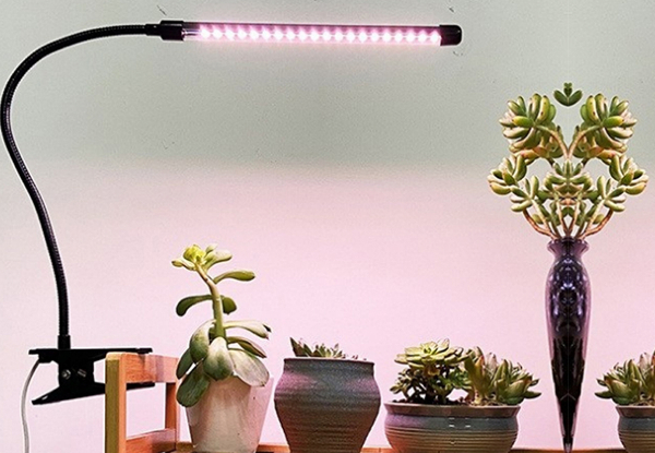 Indoor Plant Clip-On Grow Light - Available in Two Styles & Option for Two