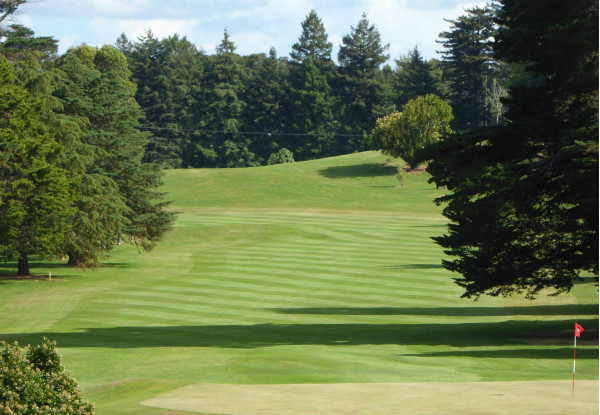 Round of Golf for One Person incl. a Beer or Soft Drink - Options for up to Four People