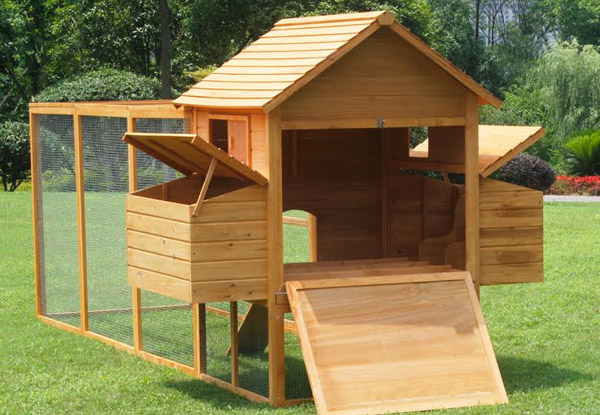 Huge Chicken Coop with Run • GrabOne NZ