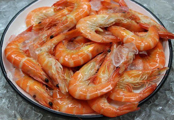 1kg Large Whole Cooked Tiger Prawns with North Island Delivery - Options for up to Five Packs of 1kg Tiger Prawns Available