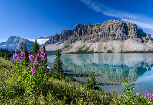Per-Person Twin-Share 16-Day Breathtaking Canadian Rockies & Alaska Experience incl. Return Flights, Accommodation, Cruise & More