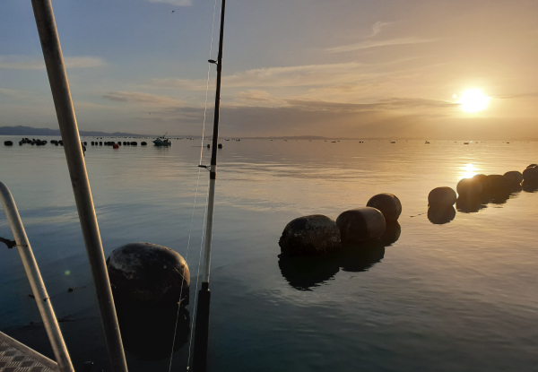 Early Christmas Half-Day Private Fishing Charter for up to 12 People incl. Bait & Gear