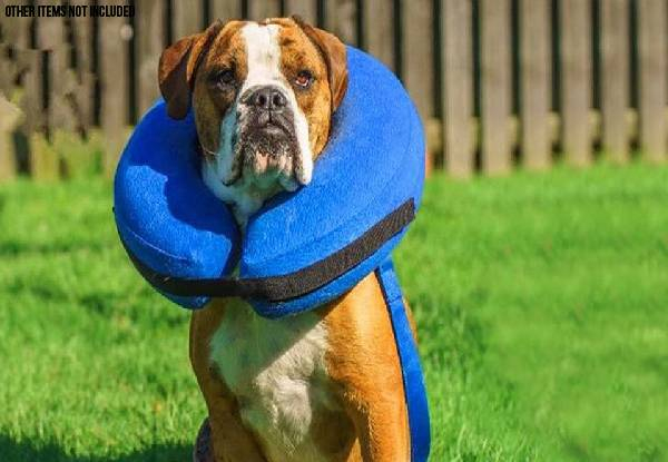 Inflatable Pet Collar - Three Sizes Available