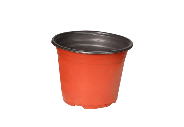 Lambu 100 Piece Plastic Plant Pots - Five Sizes Available
