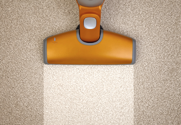 Premium Carpet Shampoo for One Bedroom, Lounge, Dining Room & Hallway - Options for up to Five Bedrooms