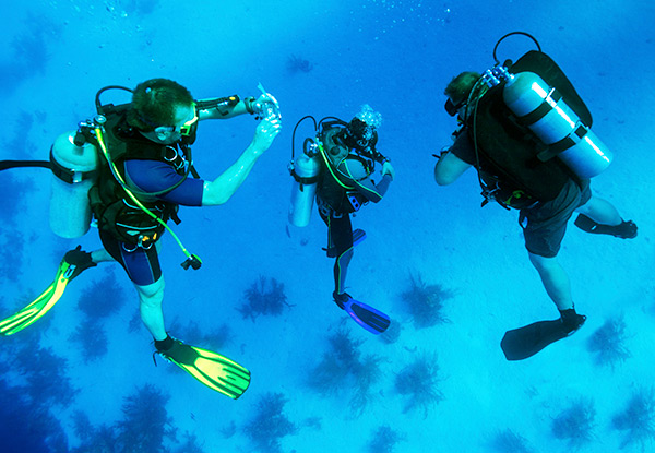 $395 for a Certified Open Water Dive Course incl. Full Gear Hire & Equipment – Two Person Option Available