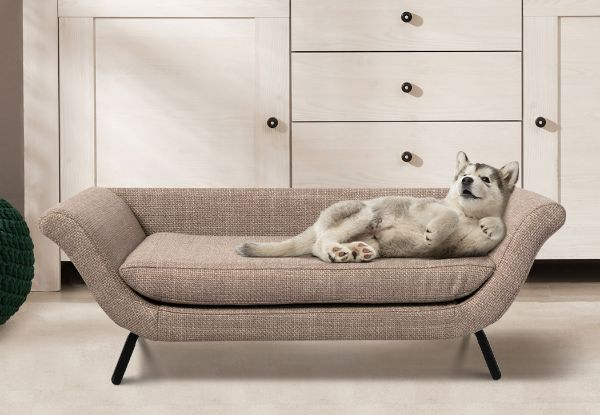 PaWz Elevated Pet Sofa Bed Couch