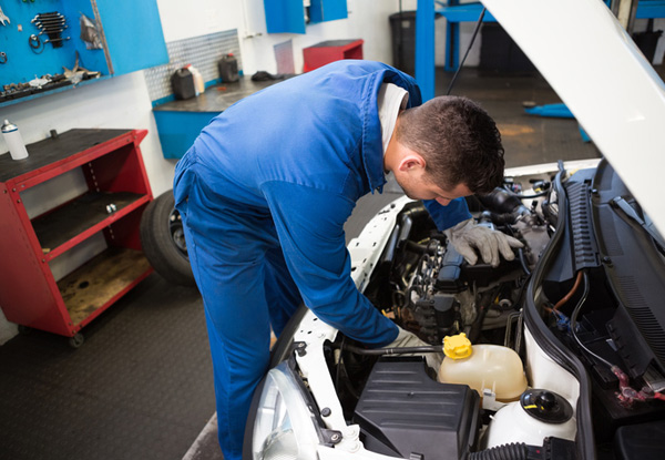 Comprehensive or Premium Vehicle Servicing in Kerikeri - Options for Petrol or Diesel Vehicles