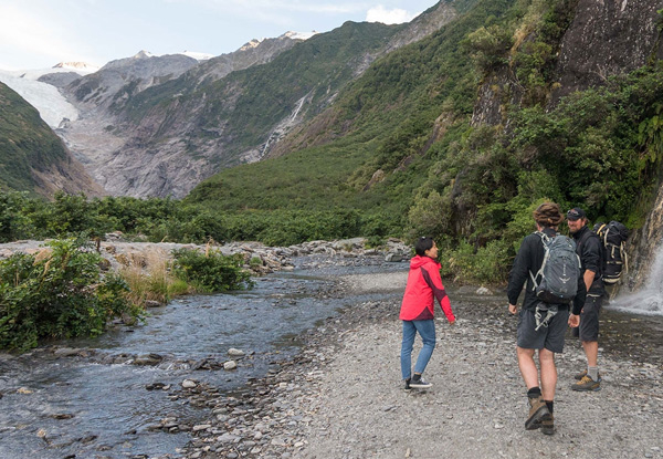 Franz Josef Glacier Guided Eco Tour incl. a Hot Drink & Biscuits for One Person - Options for Two or Four People