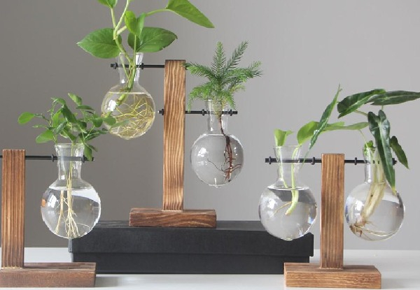 Wooden Frame Glass Planter - Three Options Available
