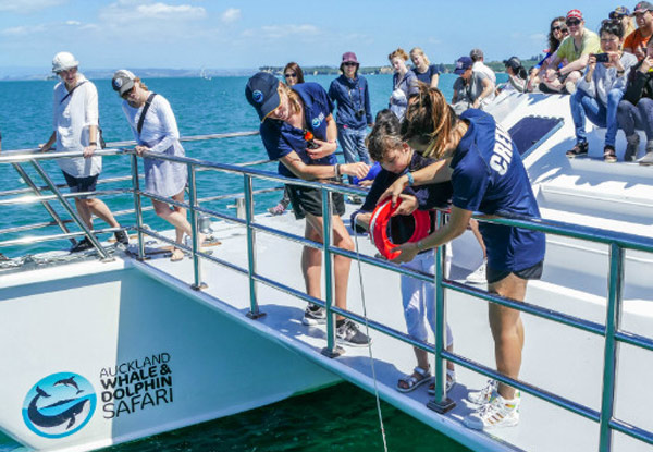 Adult Auckland Whale & Dolphin Safari Ticket - Options a Child Ticket & Weekday or Weekend Sails