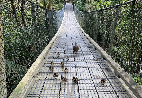 Adult Admission to Staglands Wildlife Reserve - Open Seven Days