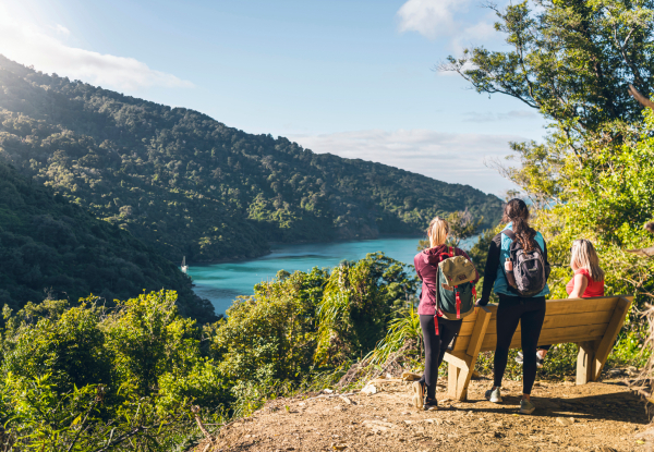 Queen Charlotte Track Day Walk with Cougar Line Cruise Transfers - Walk Punga Cove Resort to Eatwells Lookout - Options for Adult or Child