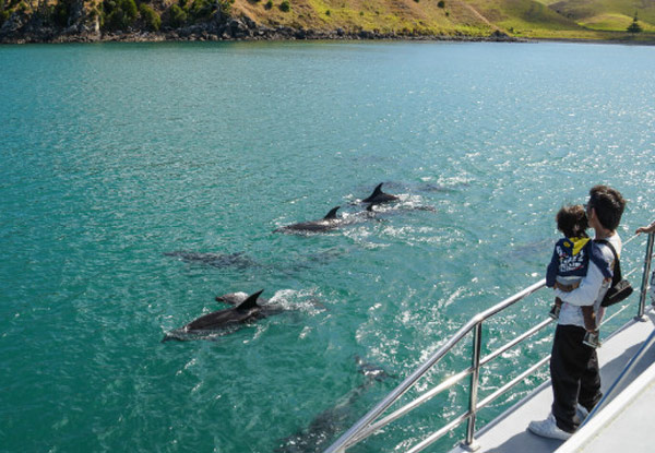 Adult Auckland Whale & Dolphin Safari Ticket for Two