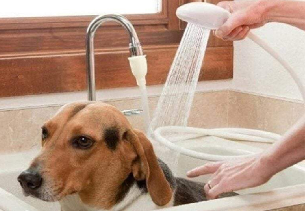 Faucet Shower Sprayer Head Spray for Pets