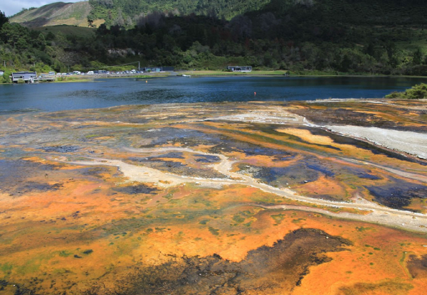 Orakei Korako "The Hidden Valley" Day Trip Departing from Rotorua - Option for Adult or Child