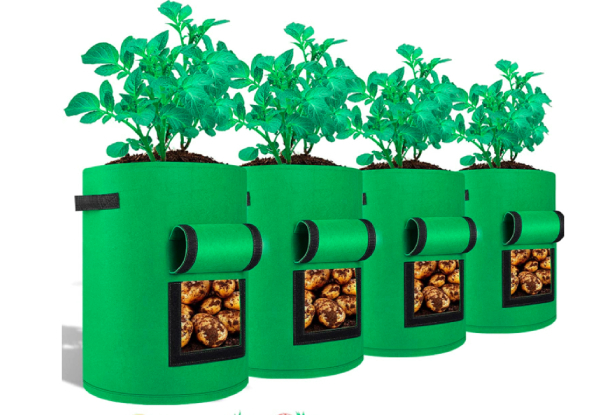 Four-Pack Plant Grow Bags with Window - Two Sizes Available