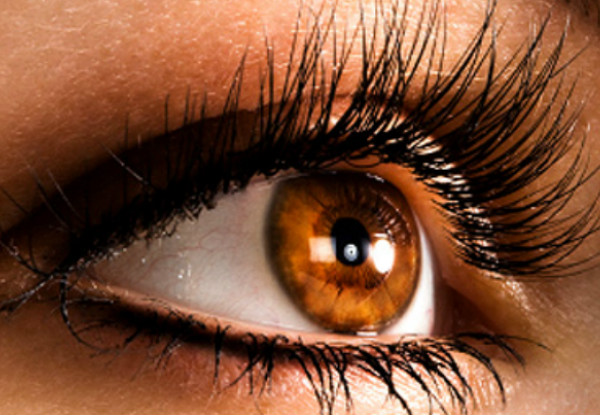 Eyebrow Shape, Eyebrow & Lash Tint - Option for Semi-Permanent Mink or Silk Eyelash Extensions