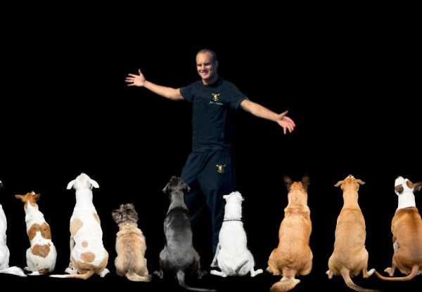 One Adult Ticket to the Auckland Pet & Animal Expo, ASB Showgrounds, Greenlane 30th September & 1st October