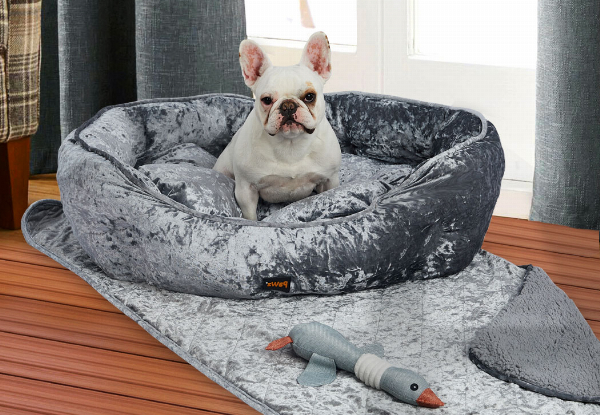 PaWz Pet Quilted Bed Set Incl. Bed, Blanket & Squeaky Toy - Available in Two Colours & Two Sizes