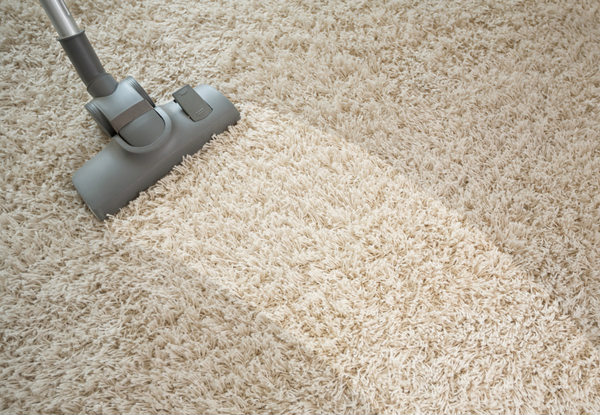 Two-Room Carpet Clean - Options for up to Six Rooms, Upholstery Cleaning & More