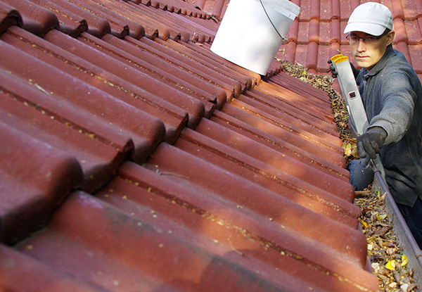 Single-Story Gutter Clean up to 200sqm - Options for Single-Storey up to 400sqm, Double-Storey or Moss & Lichen Roof Spray