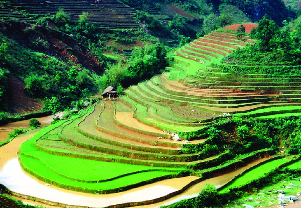Per-Person, Twin-Share 15-Day North & South Vietnam Tour incl. Meals, Cruise, Transfers & Domestic Flights