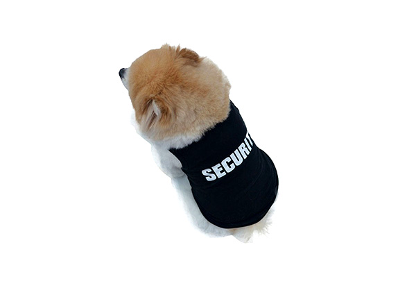 Cute Security Pet Vest with Free Delivery